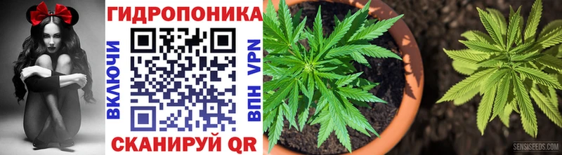 где продают   Родники  Канабис Amnesia 